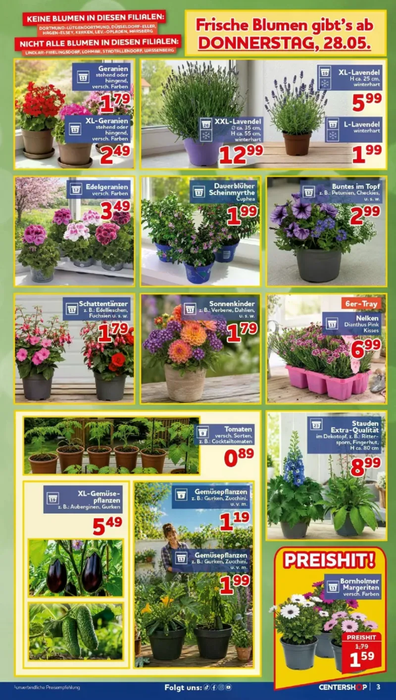 Centershop Prospekt vom 26.05.2026, Seite 3