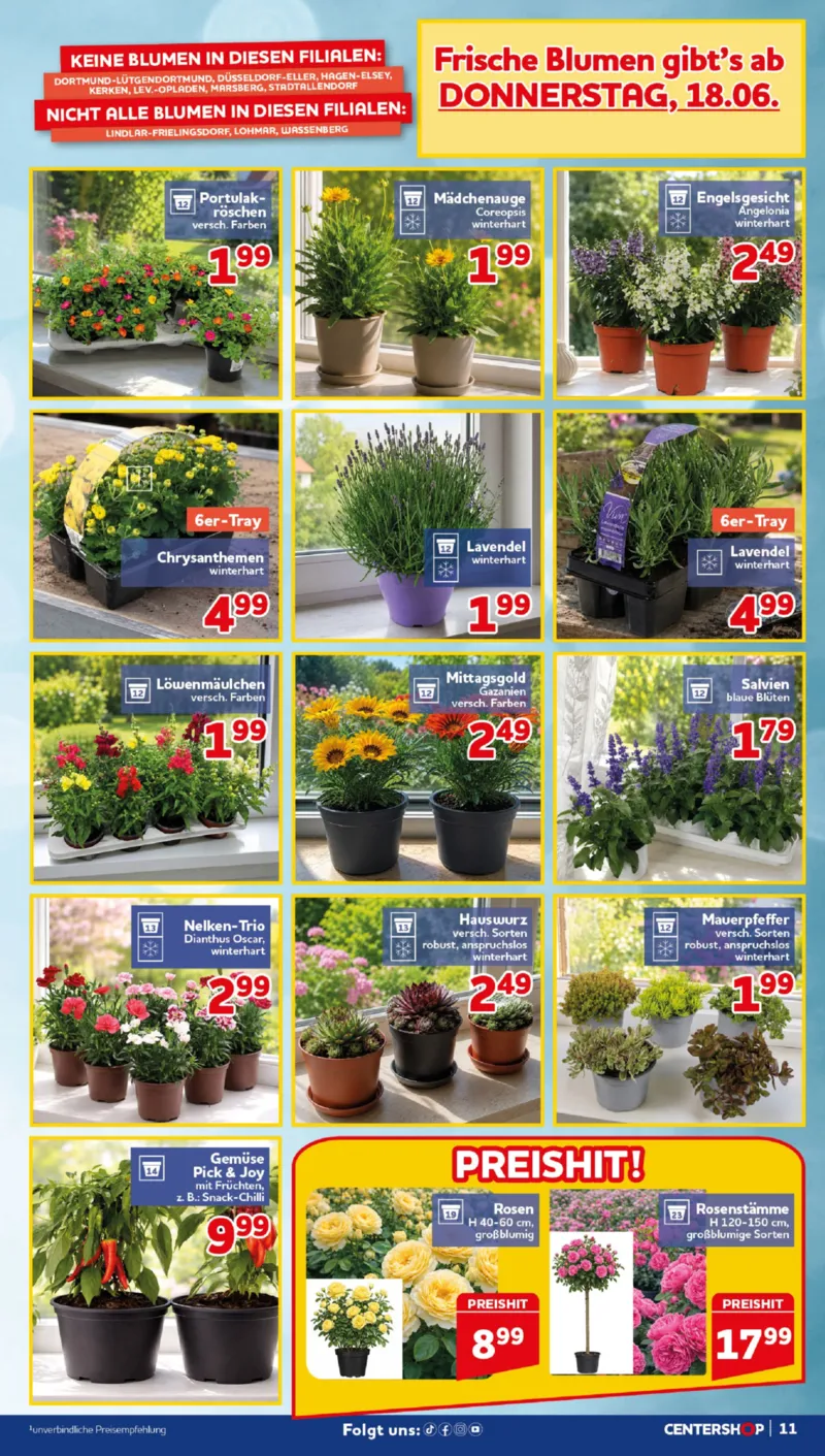 Centershop Prospekt vom 15.06.2026, Seite 11