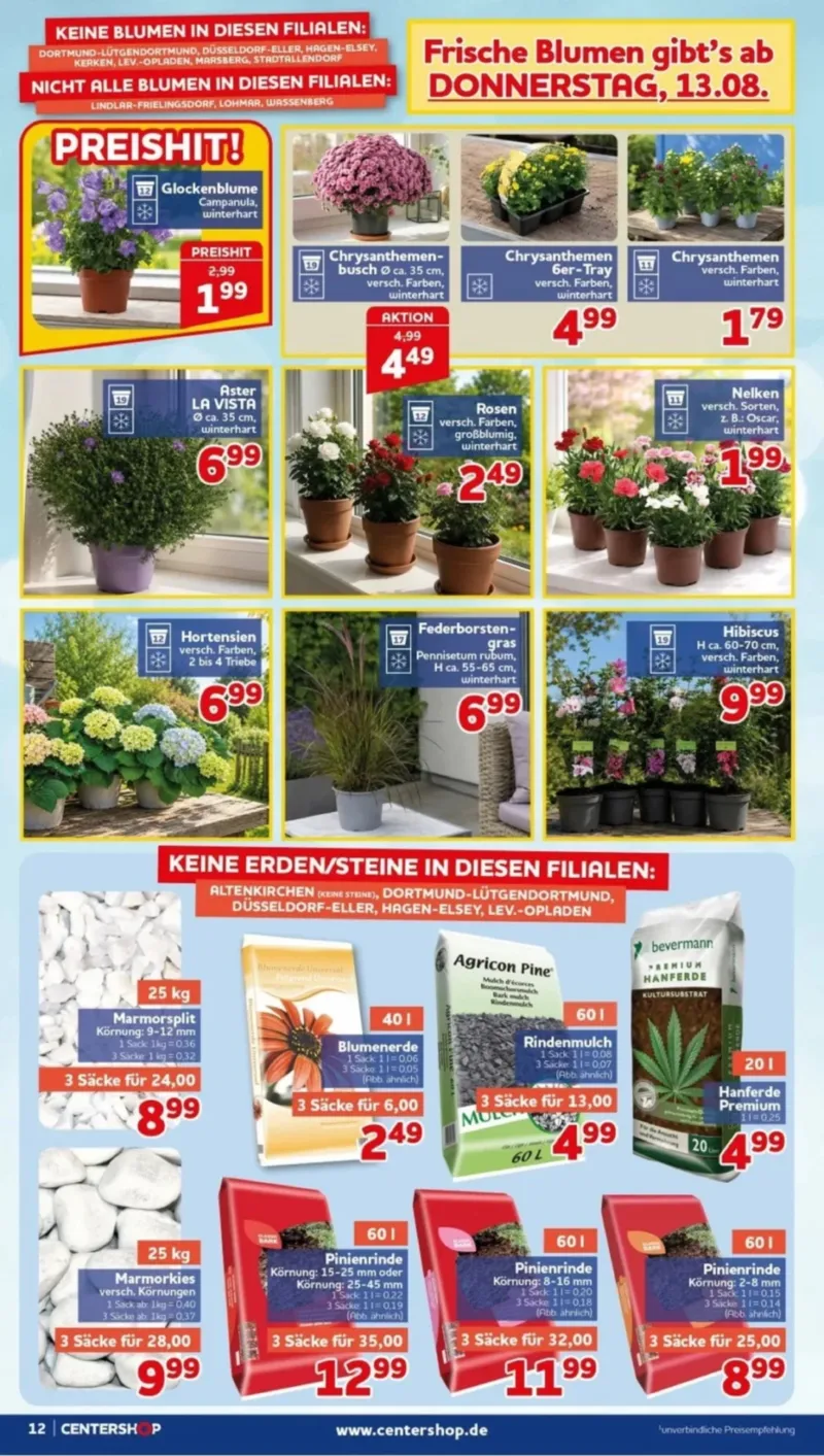 Centershop Prospekt vom 10.08.2026, Seite 12