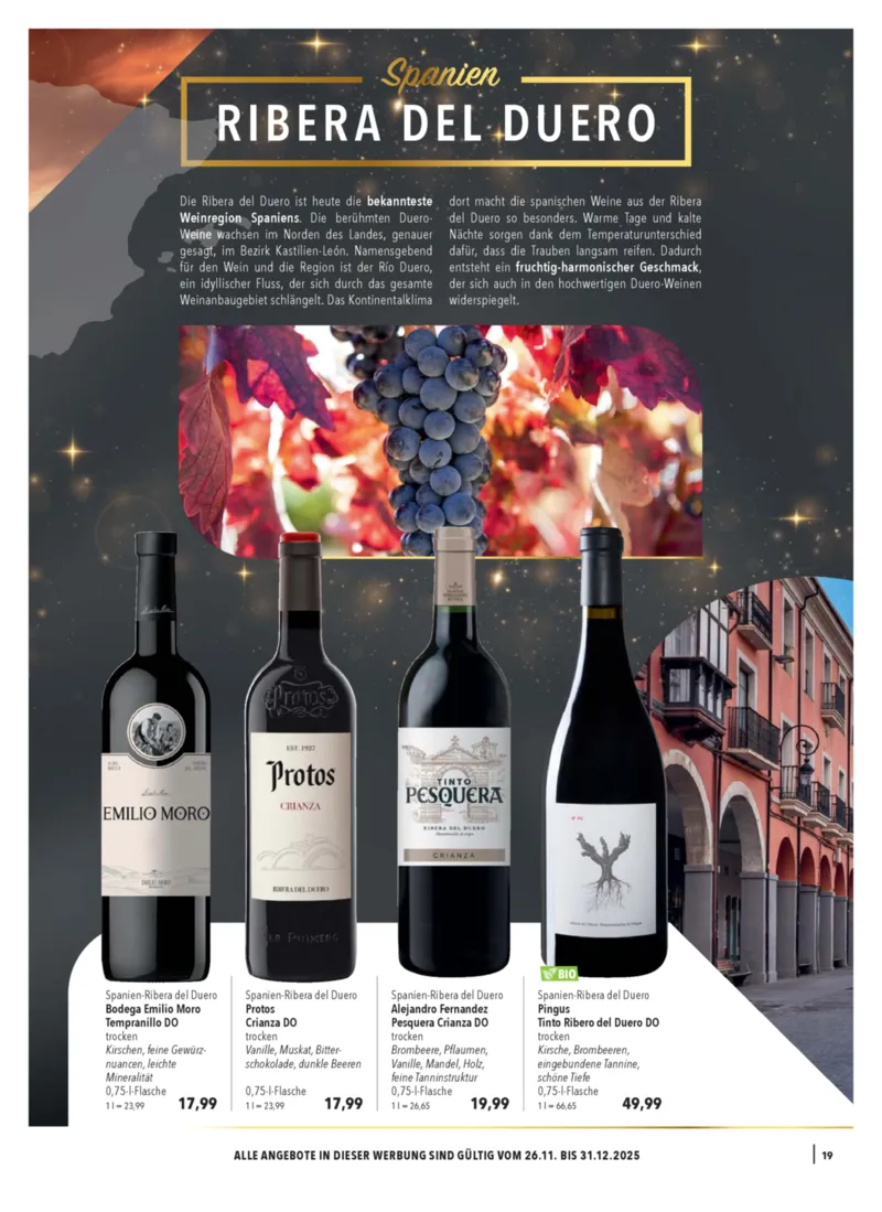 CITTI Prospekt vom 26.11.2025, Seite 19