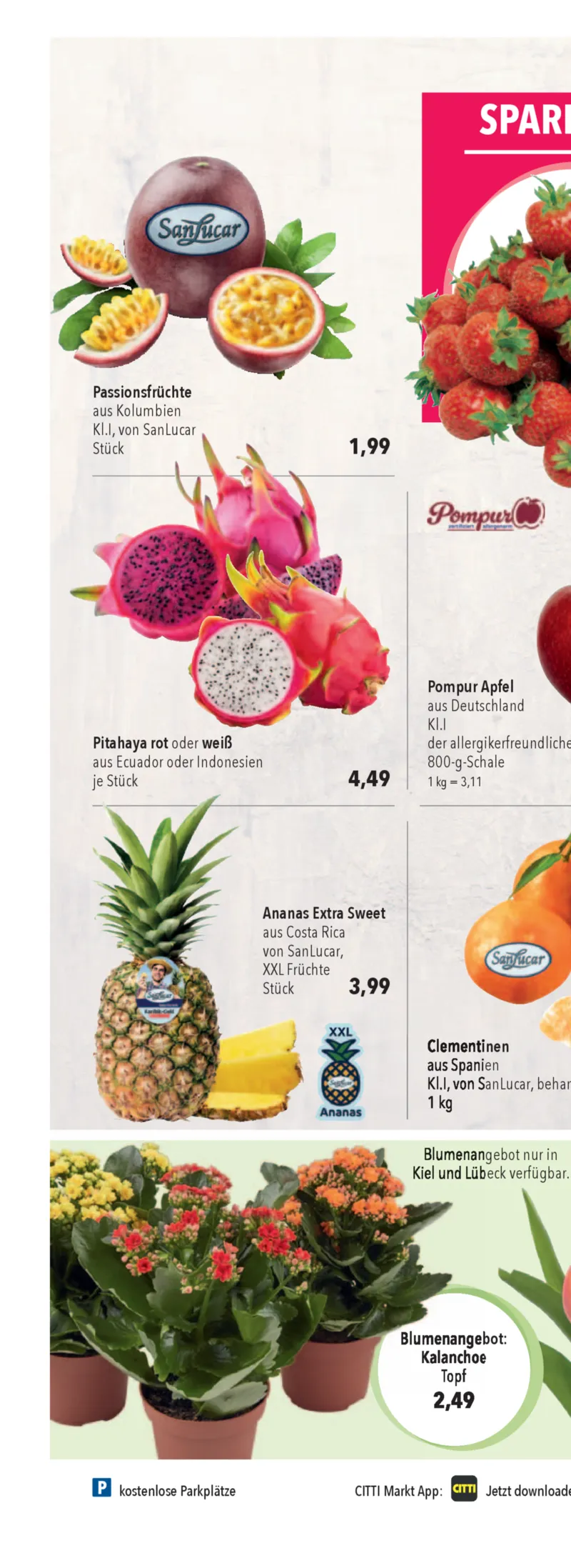 CITTI Prospekt vom 01.04.2026, Seite 13