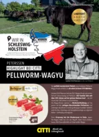 CITTI Prospekt vom 06.05.2026