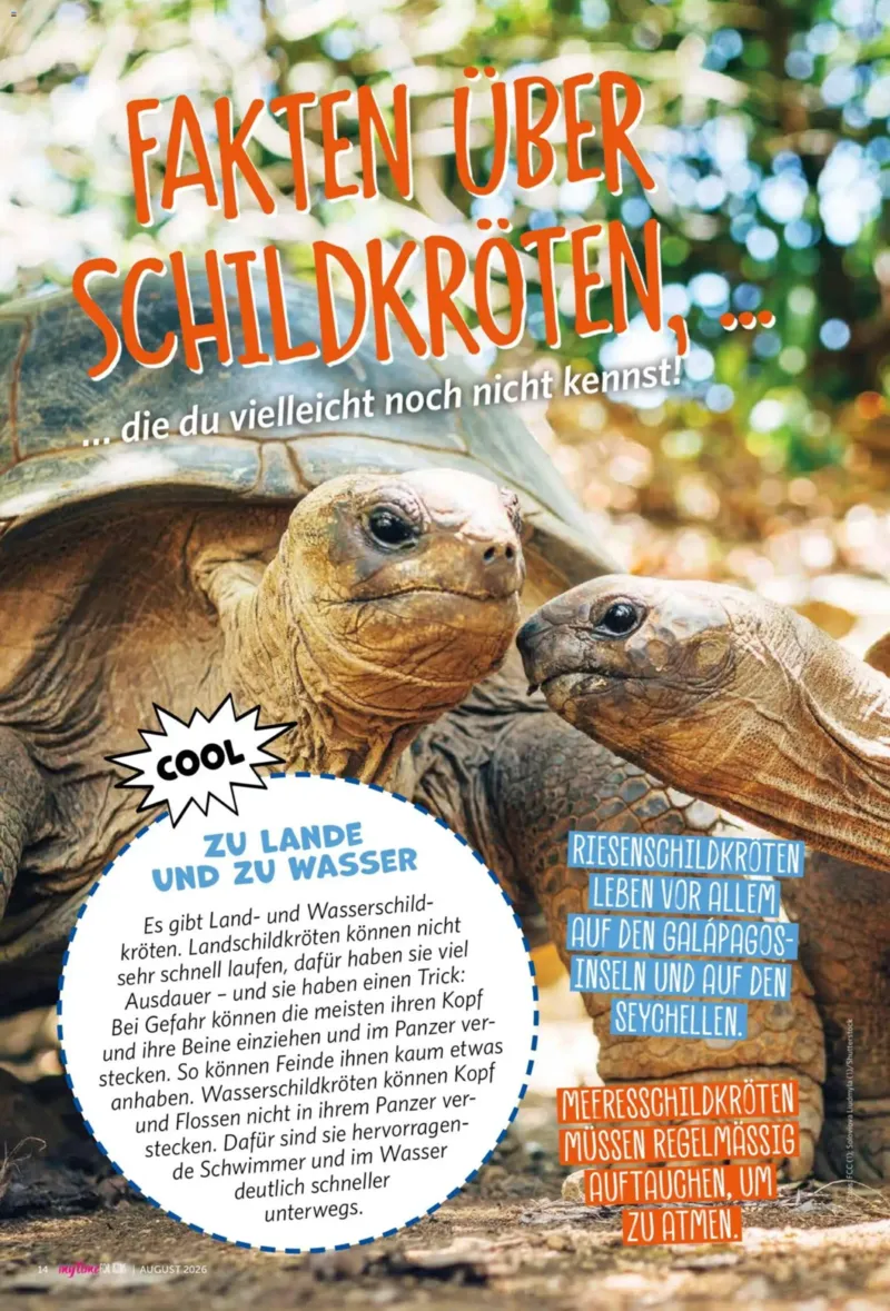 Combi Prospekt vom 01.08.2026, Seite 93