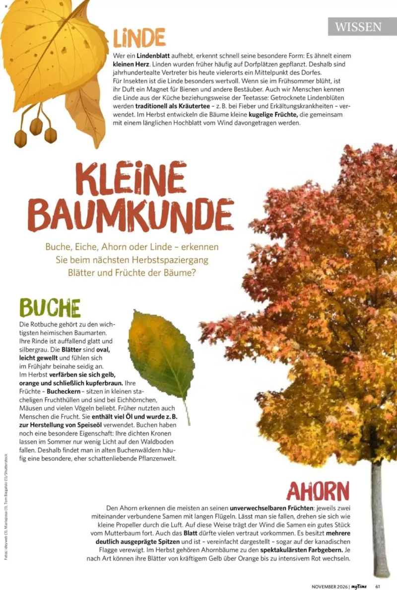 Combi Prospekt vom 01.11.2026, Seite 61