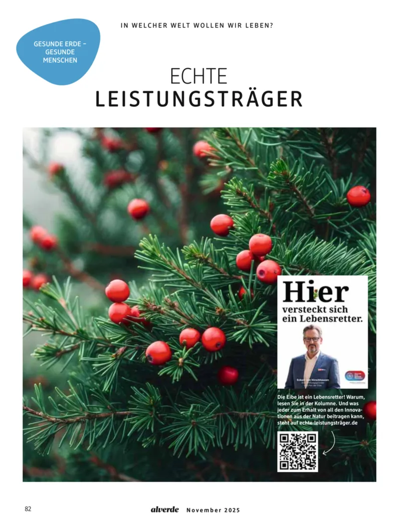 dm Prospekt vom 01.11.2025, Seite 82