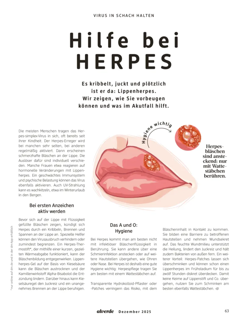 dm Prospekt vom 01.12.2025, Seite 63