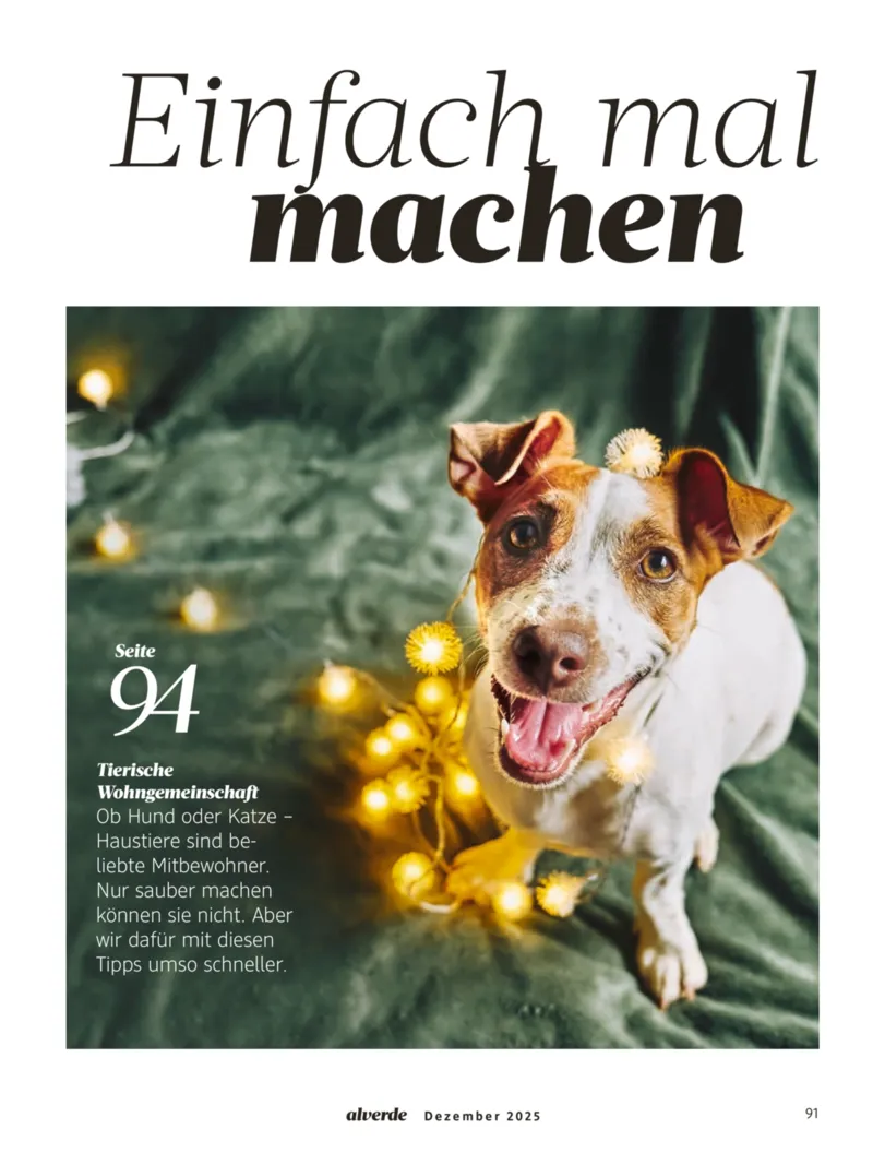 dm Prospekt vom 01.12.2025, Seite 91