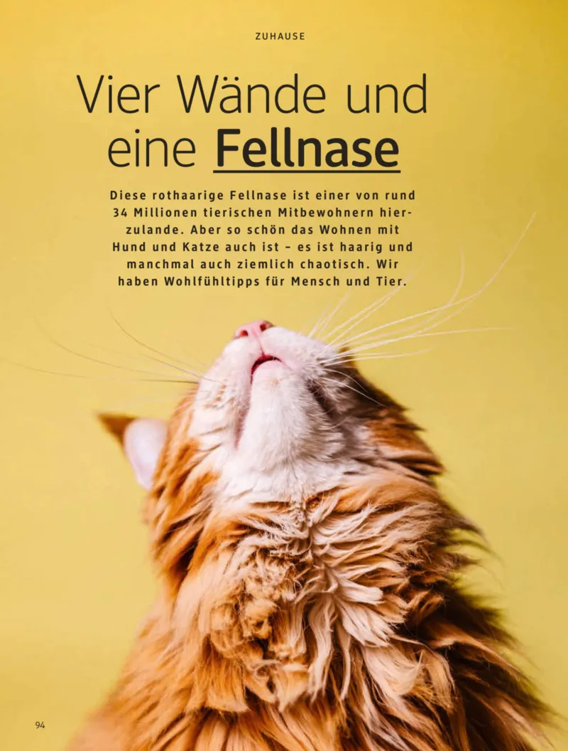 dm Prospekt vom 01.12.2025, Seite 94