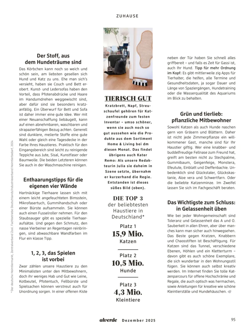 dm Prospekt vom 01.12.2025, Seite 95