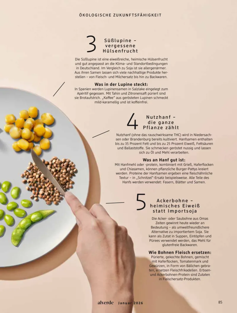 dm Prospekt vom 01.01.2026, Seite 85