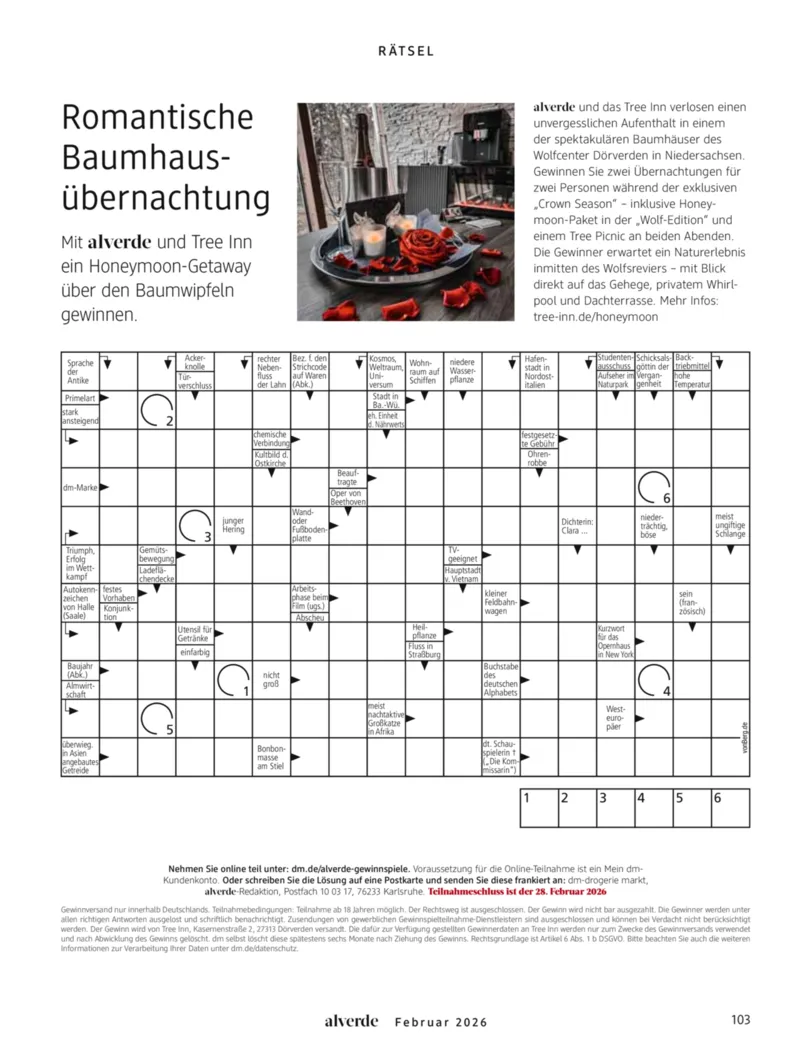 dm Prospekt vom 01.02.2026, Seite 103