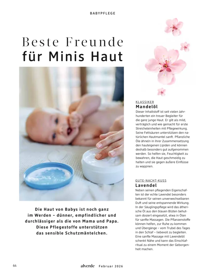 dm Prospekt vom 01.02.2026, Seite 64