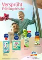 dm Prospekt vom 10.02.2026