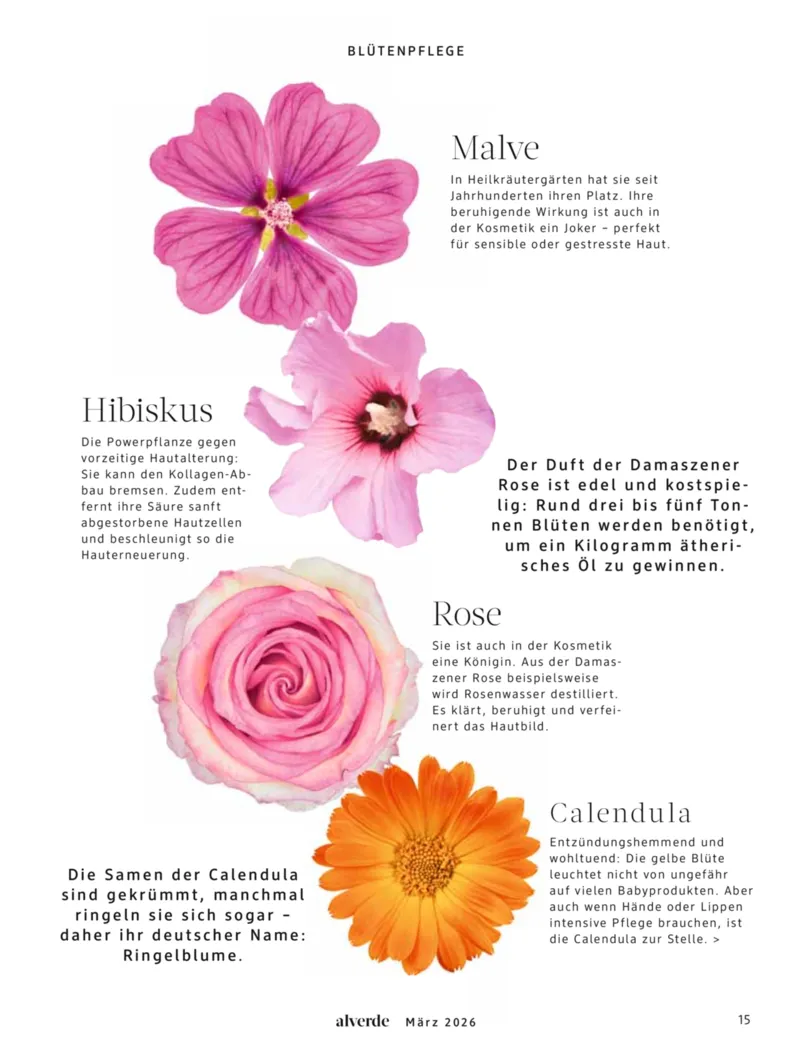 dm Prospekt vom 01.03.2026, Seite 15
