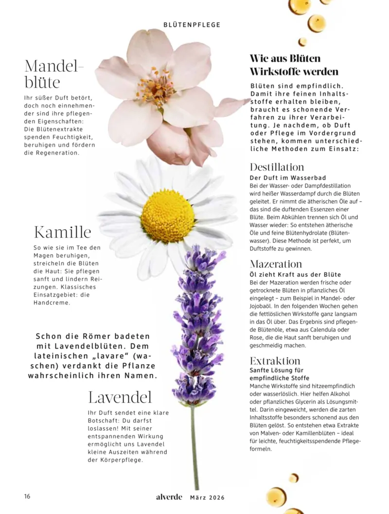 dm Prospekt vom 01.03.2026, Seite 16