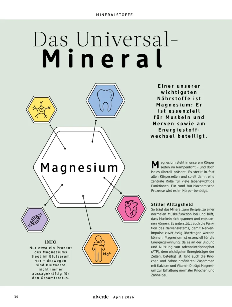 dm Prospekt vom 01.04.2026, Seite 56
