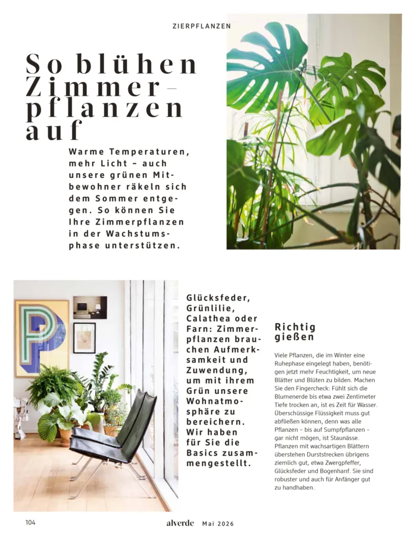 dm Prospekt vom 01.05.2026, Seite 104