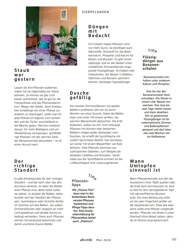 dm Prospekt vom 01.05.2026, Seite 105