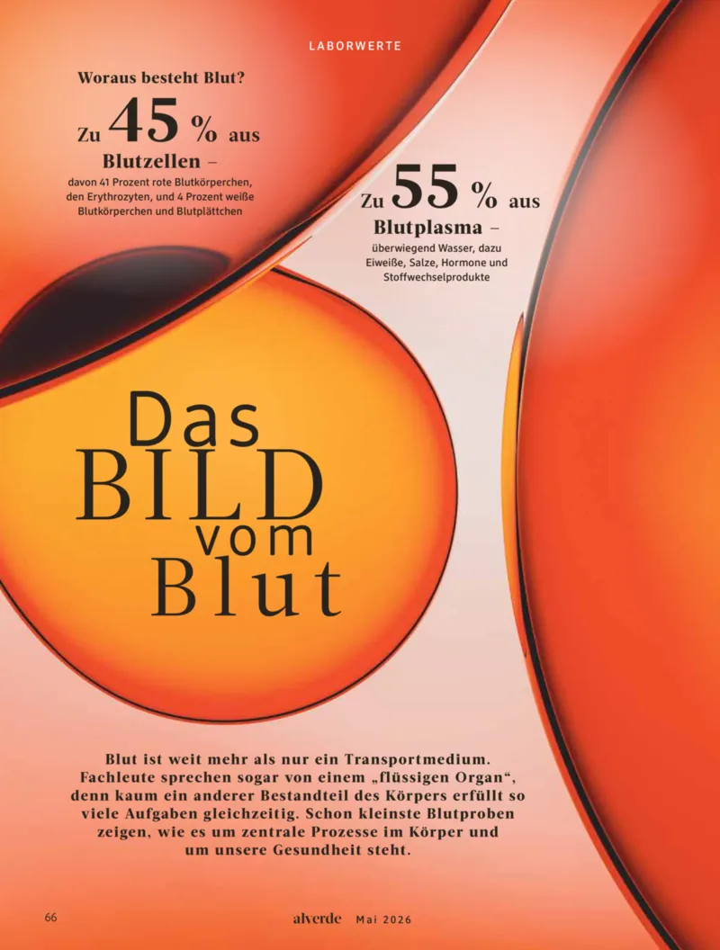 dm Prospekt vom 01.05.2026, Seite 66
