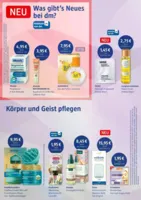 dm Prospekt vom 05.05.2026