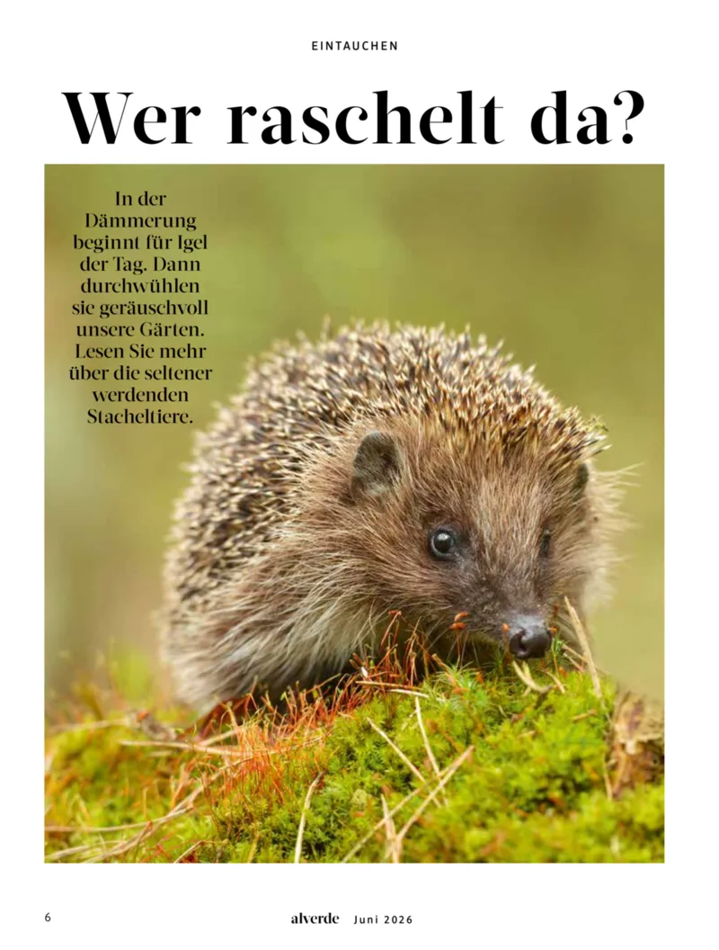 dm Prospekt vom 01.06.2026, Seite 6