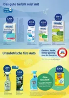 dm Prospekt vom 02.06.2026