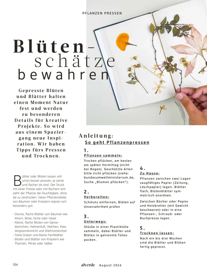 dm Prospekt vom 01.08.2026, Seite 104