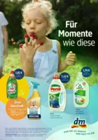 dm Prospekt vom 12.08.2026