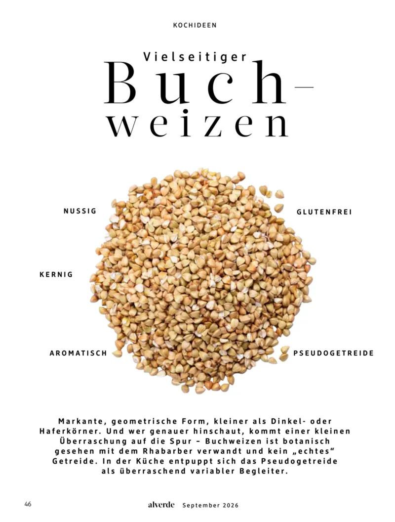dm Prospekt vom 01.09.2026, Seite 46