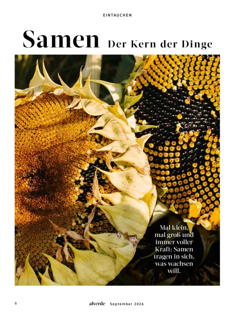 dm Prospekt vom 01.09.2026, Seite 6