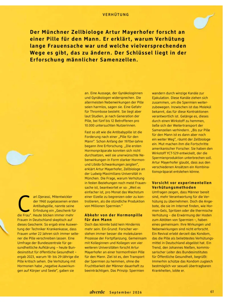 dm Prospekt vom 01.09.2026, Seite 61
