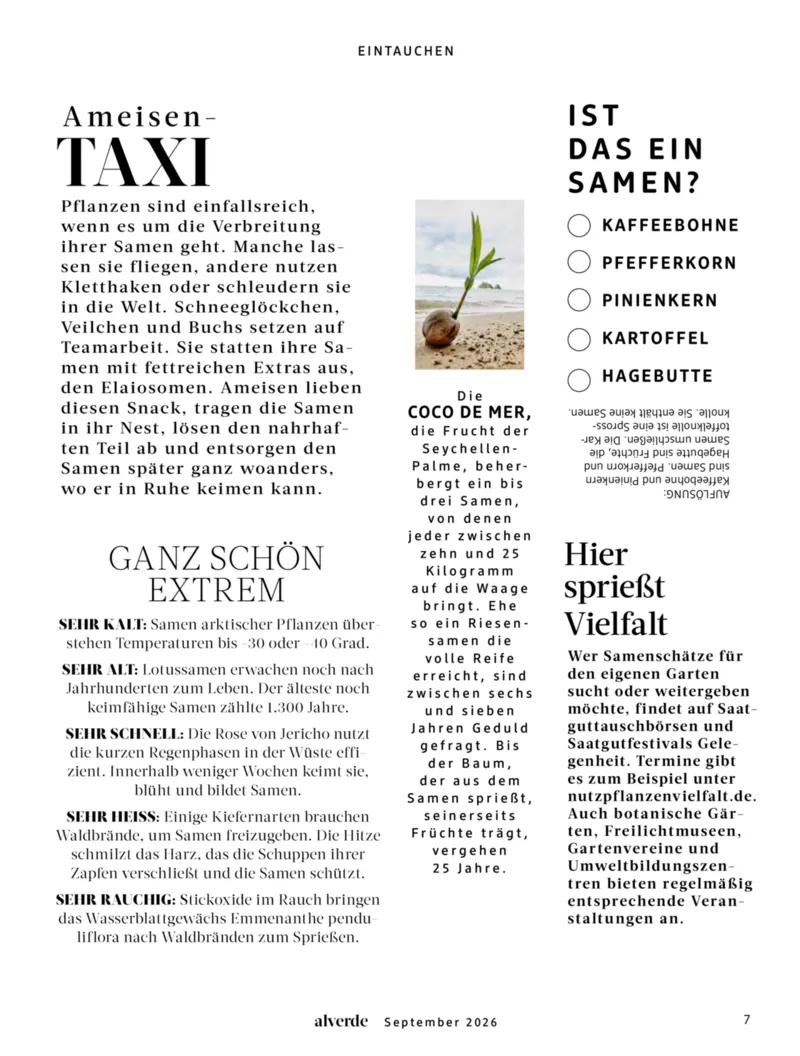 dm Prospekt vom 01.09.2026, Seite 7