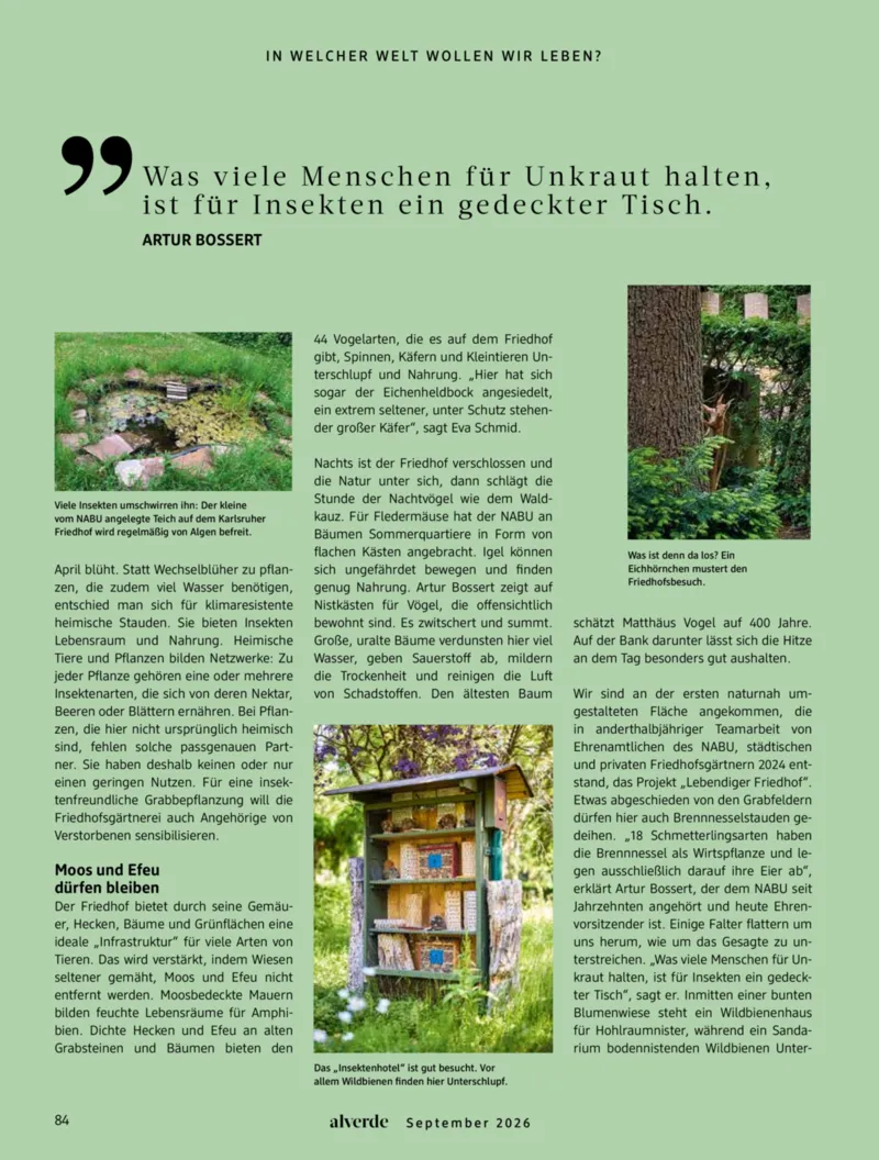 dm Prospekt vom 01.09.2026, Seite 84