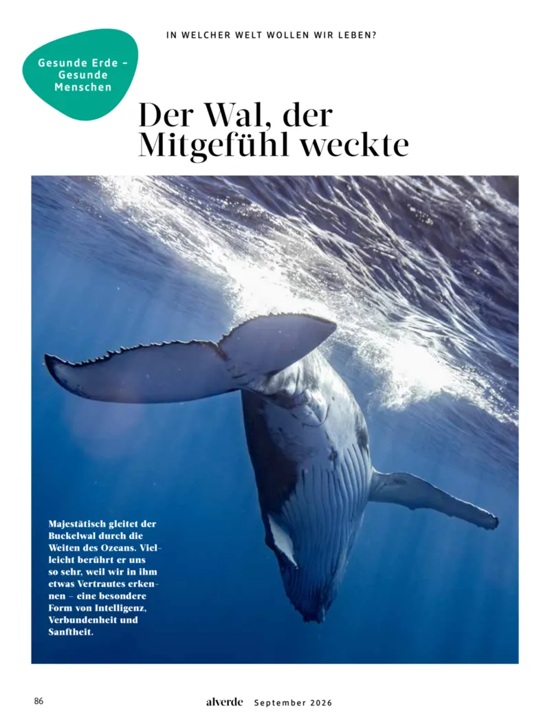 dm Prospekt vom 01.09.2026, Seite 86