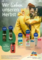 dm Prospekt vom 07.10.2026