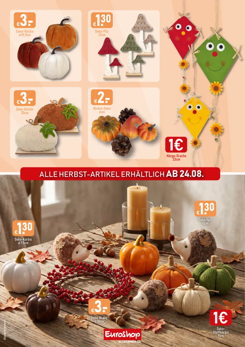 EuroShop Prospekt vom 10.08.2026, Seite 6