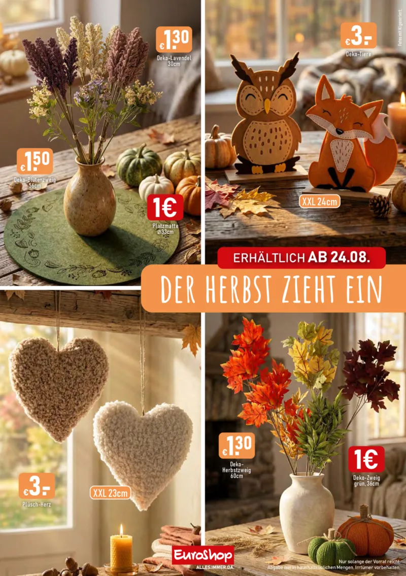 EuroShop Prospekt vom 10.08.2026, Seite 7