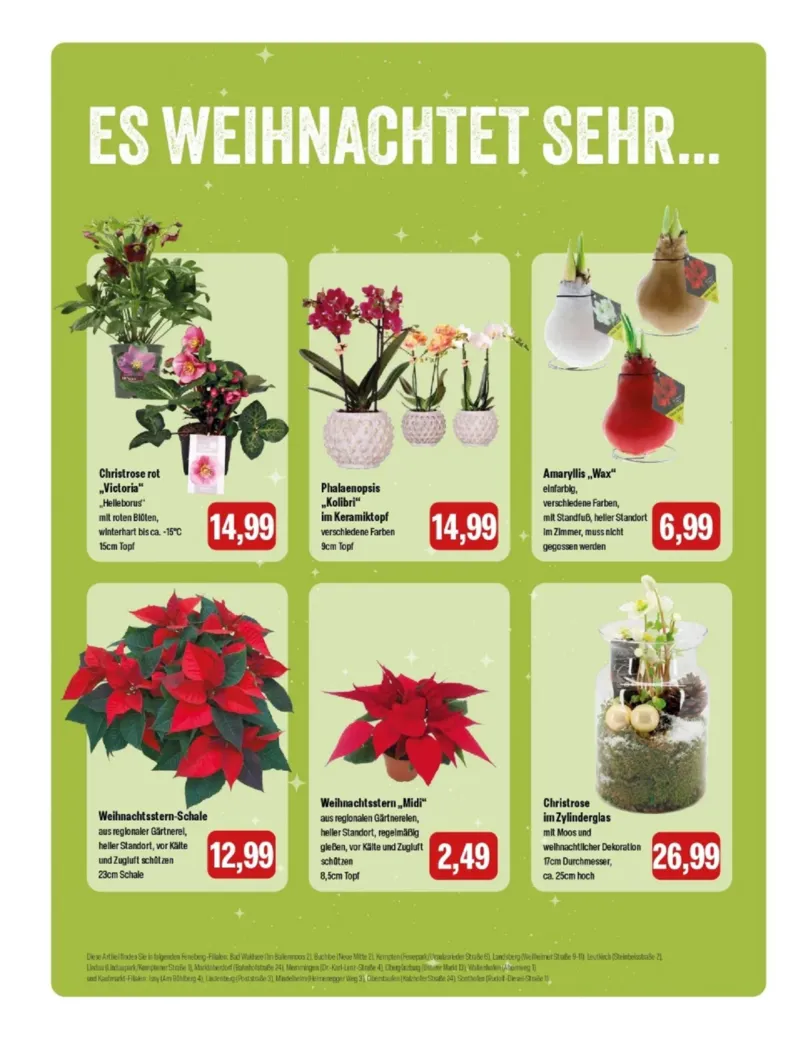 Feneberg Prospekt vom 27.11.2025, Seite 14