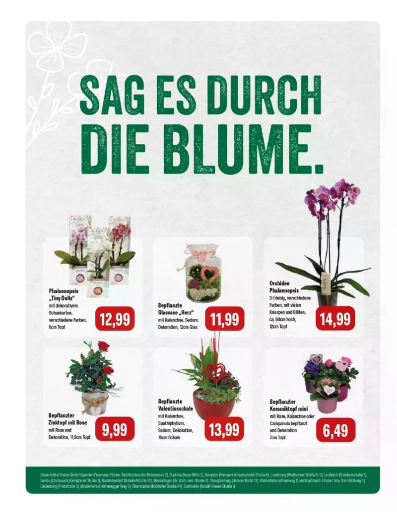 Feneberg Prospekt vom 05.02.2026, Seite 8