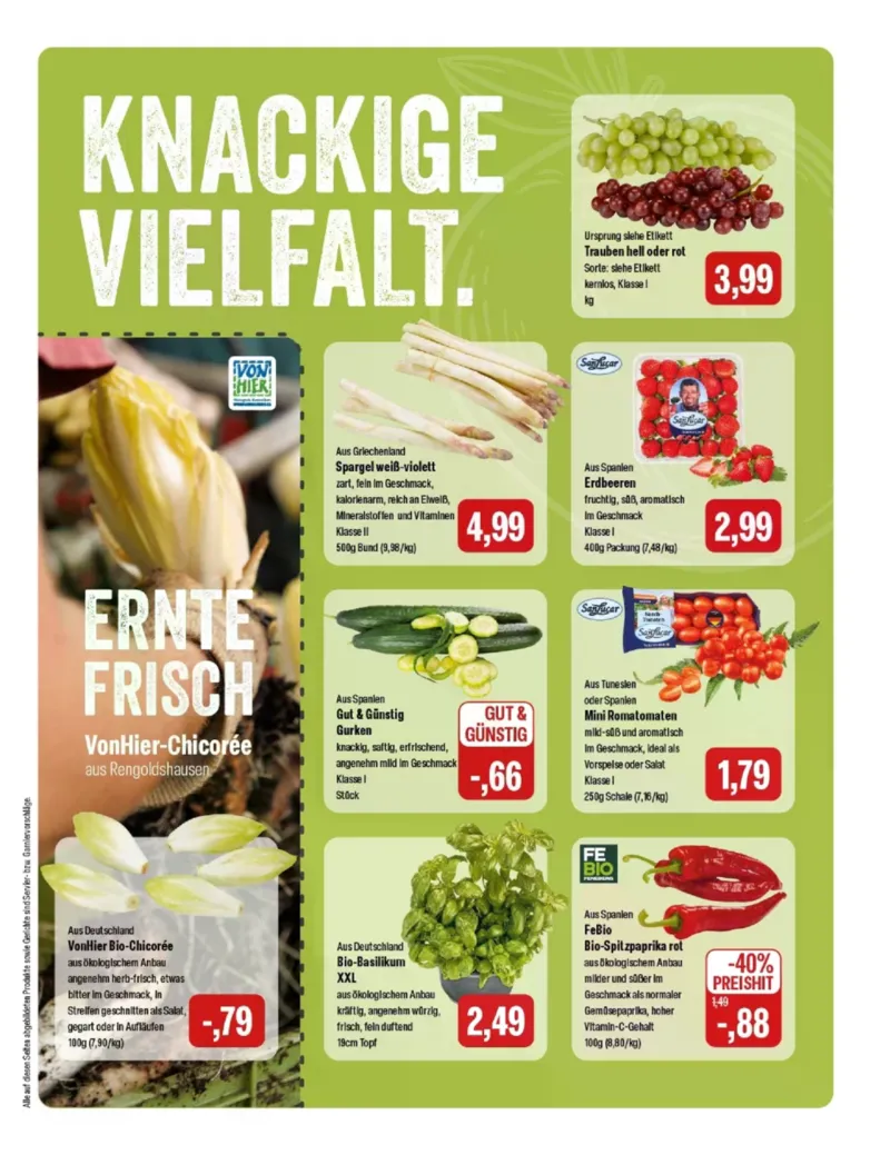 Feneberg Prospekt vom 19.03.2026, Seite 5