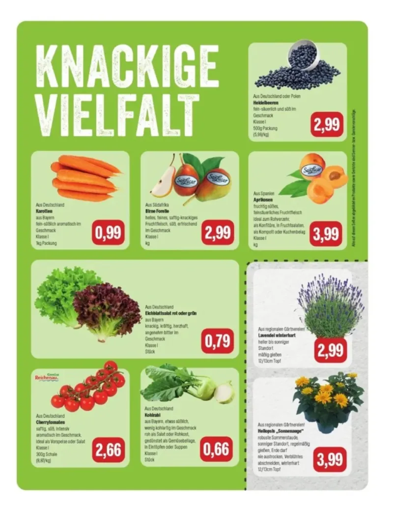 Feneberg Prospekt vom 30.07.2026, Seite 7