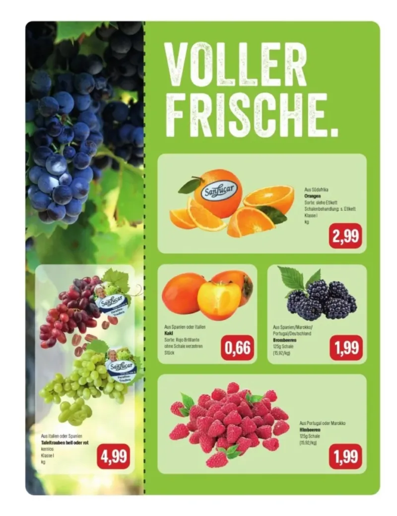 Feneberg Prospekt vom 26.10.2026, Seite 10