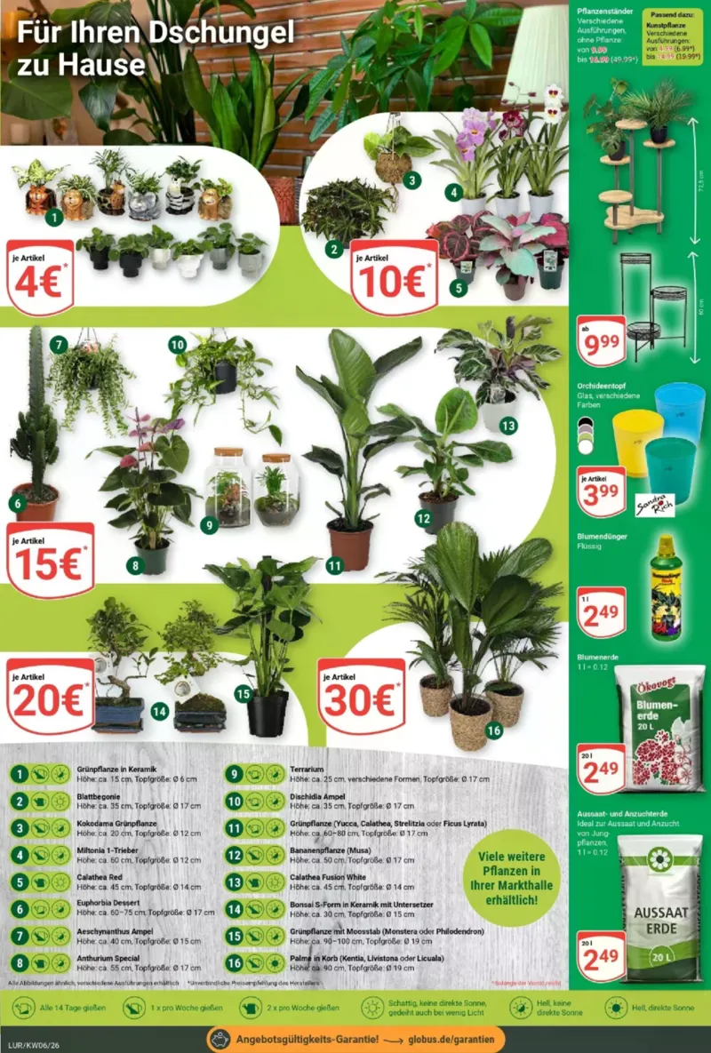 Globus Prospekt vom 02.02.2026, Seite 24