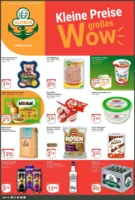 Globus Prospekt vom 15.06.2026