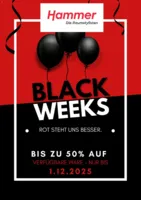 Hammer Prospekt letzter Woche