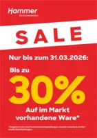 Hammer Prospekt vom 02.03.2026