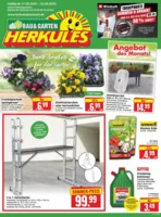 Herkules Baumarkt Prospekt vom 17.03.2025