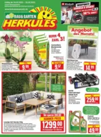 Herkules Baumarkt Prospekt vom 24.03.2025