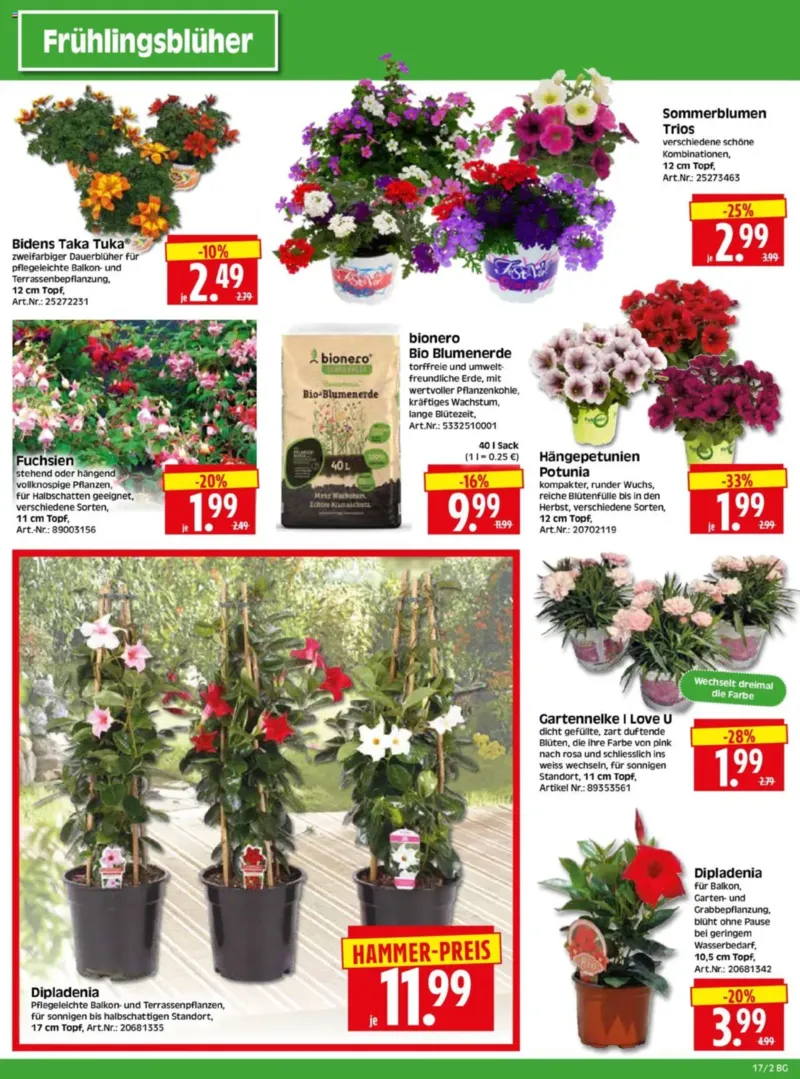 Herkules Baumarkt Prospekt vom 22.04.2025, Seite 2
