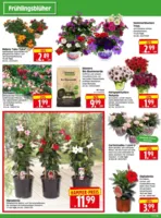 Herkules Baumarkt Prospekt vom 22.04.2025